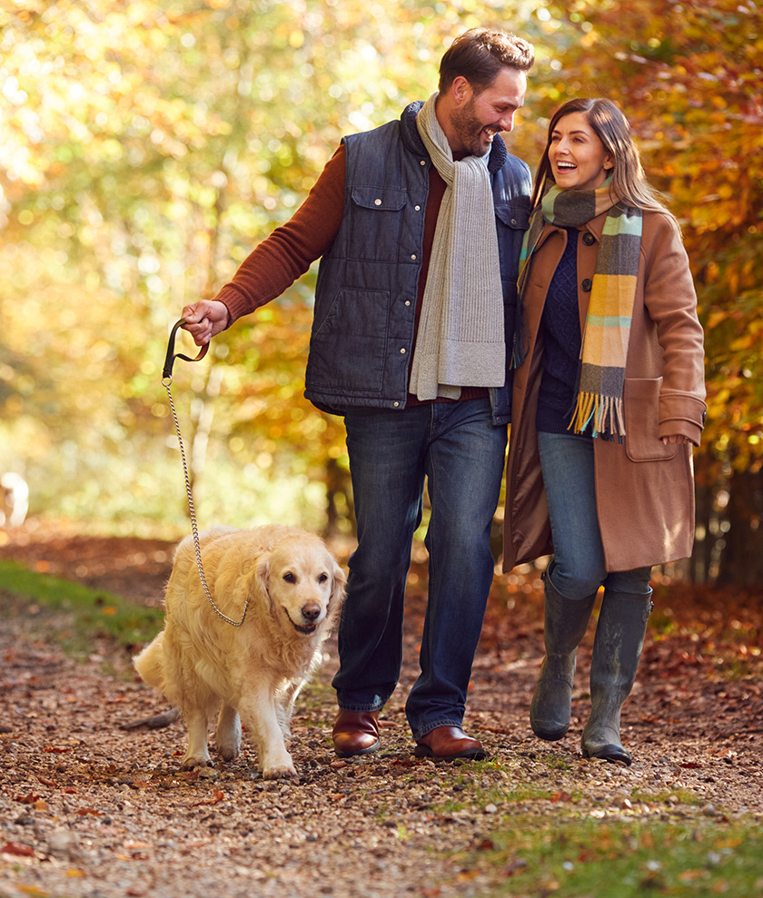 A man and a woman dressed warmly and smiling at each other and walking on a trail with a golden retriever. The leaves have turned to fall.